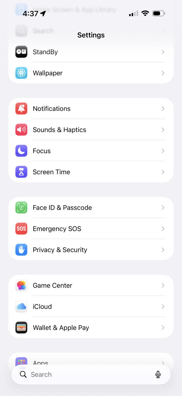 iPhone Settings screen